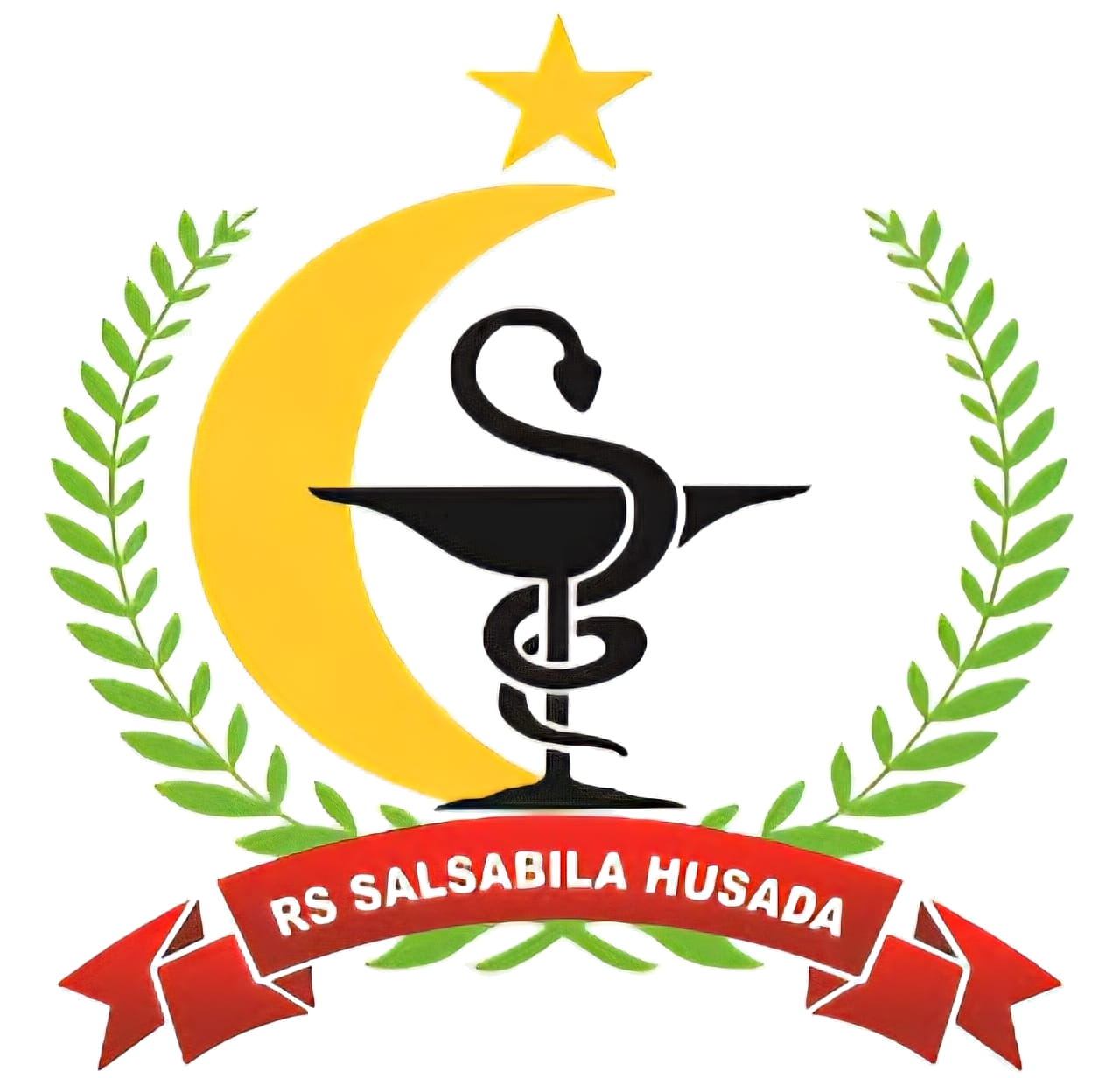 Logo RS Salsabila Husada